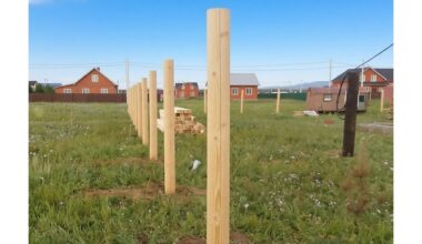 mediniai stulpai tarnauja 40 metų