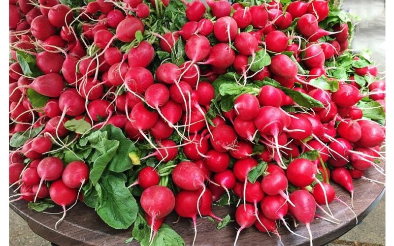 pridėkite baltąjį auksą sodinant