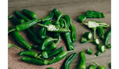 teta pamirko sėklas piene