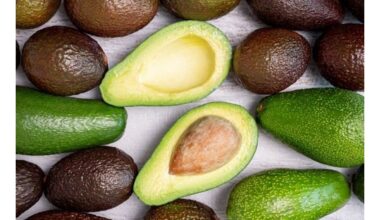 avokado veislė veikia kainą