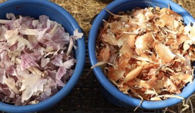 maišas svogūnų ir česnakų luobelių