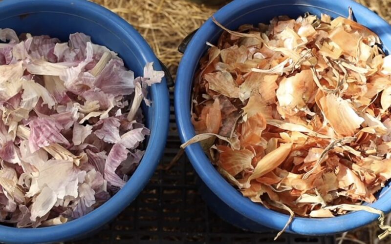 maišas svogūnų ir česnakų luobelių