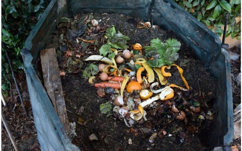 virti grikiai komposto pradžiamokslis