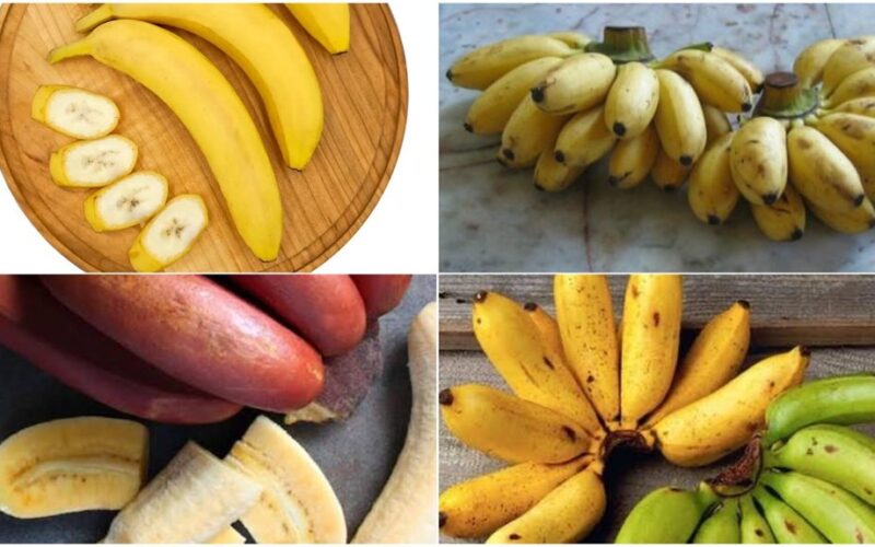 nupirkau mažųjų bananų vietoj