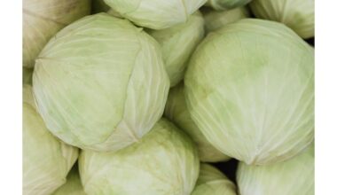 kopūstų dieta pakeitė galvos dydį