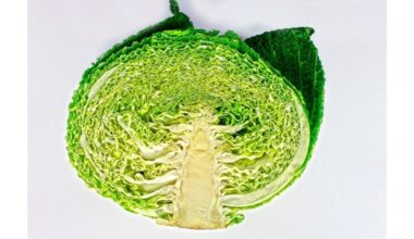 kopūstas nustoja verkti klesti