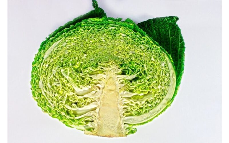 kopūstas nustoja verkti klesti