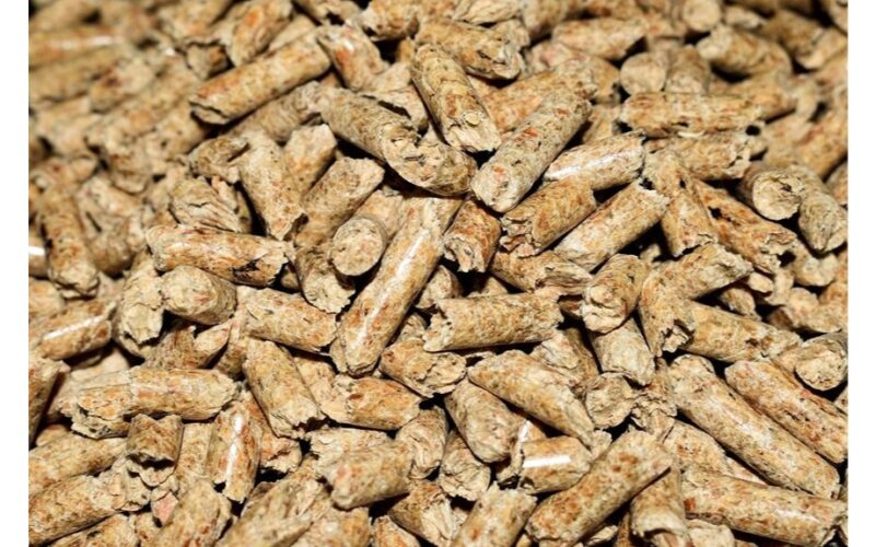 katės kraikas didina pasėlių derlių