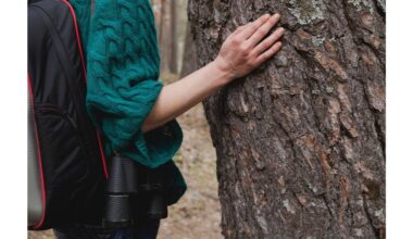 kreida ir kepimo soda