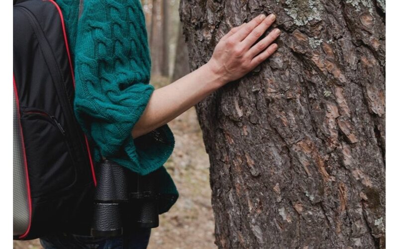 kreida ir kepimo soda