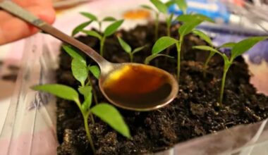 pigus naminės gamybos sodo trąšos