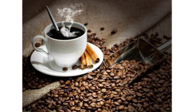 cikorija nėra kavos pakaitalas