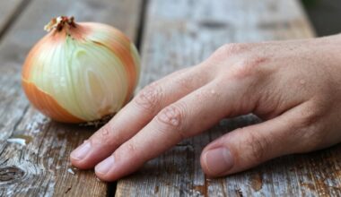 išvalyta ranka su svogūnu