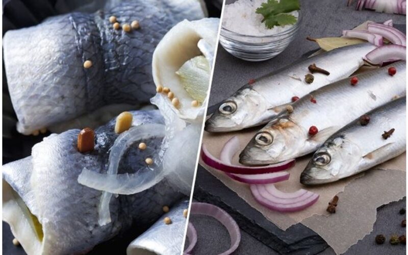 rūkyta silkė prieš Baltijos lydekaitę