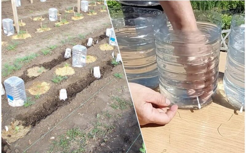 pasidaryk pats 5 l butelio lašelinė drėkinimo sistema