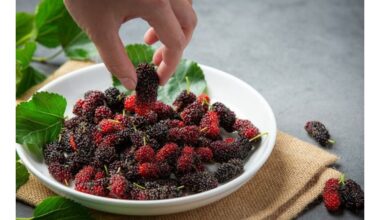 gydytojai rekomenduoja valgyti šią uogą