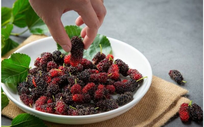 gydytojai rekomenduoja valgyti šią uogą