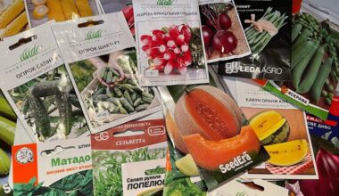 neperka daug papildomų sėklų