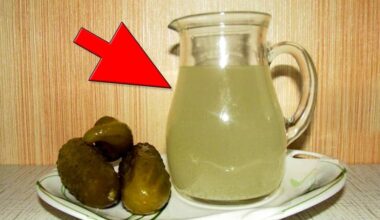 neiššvaistyk raugintų agurkų sulto