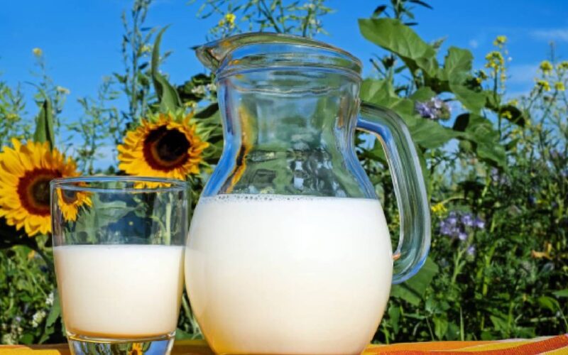 gerti pieną po 40 svarstymų atskleista