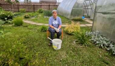 išmestas kompostas vietoje trąšų