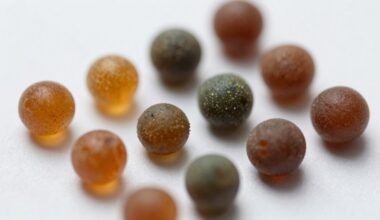 ausų vaškas rodo sveikatą