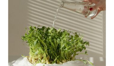 efervescentinė tabletė iškviečia žalius monstrus