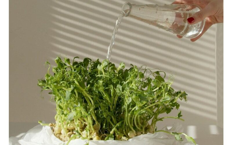 efervescentinė tabletė iškviečia žalius monstrus