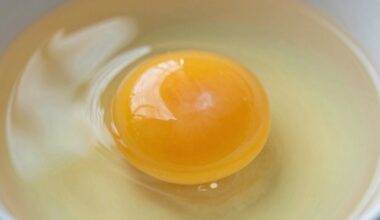 kiaušinio trynys yra sveikiausias