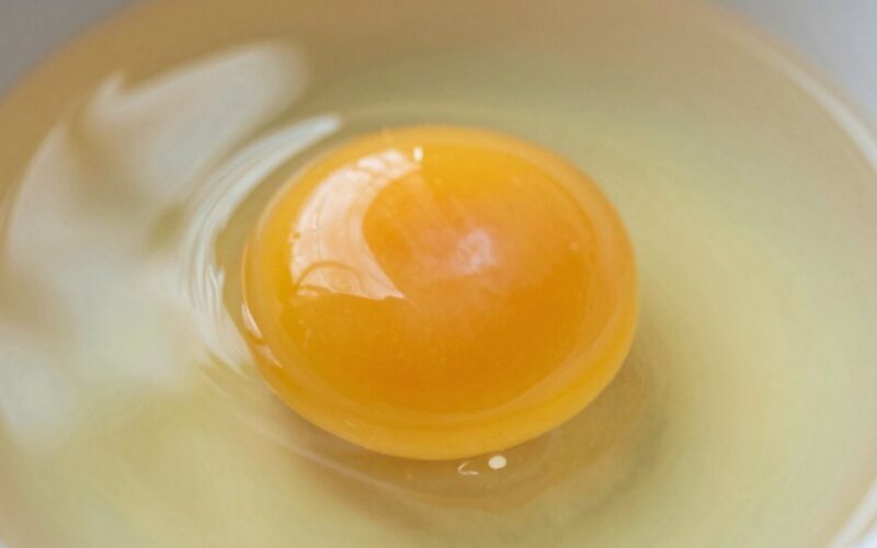 kiaušinio trynys yra sveikiausias