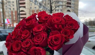 gėlės su vabzdžių kenkėjais