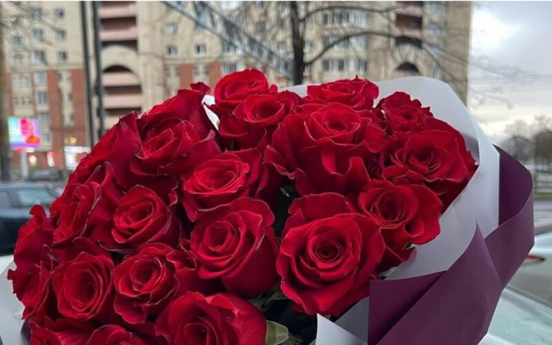 gėlės su vabzdžių kenkėjais