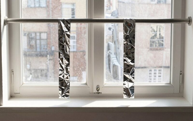 folijos juostelės atbaido paukščius