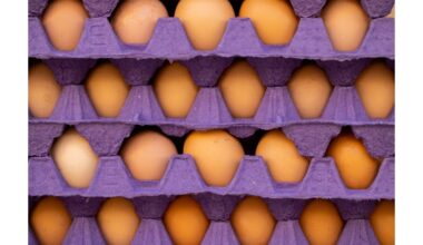 sodininkai pakartotinai naudoja kiaušinių kartonėlius