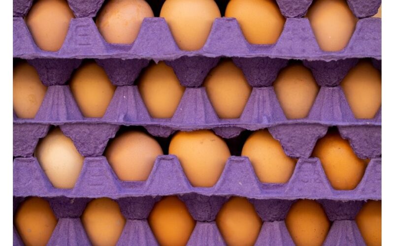 sodininkai pakartotinai naudoja kiaušinių kartonėlius