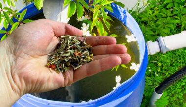 sodininkai nustebinti arbatos