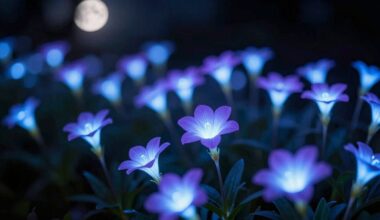 šviečiantys tamsoje žiedai