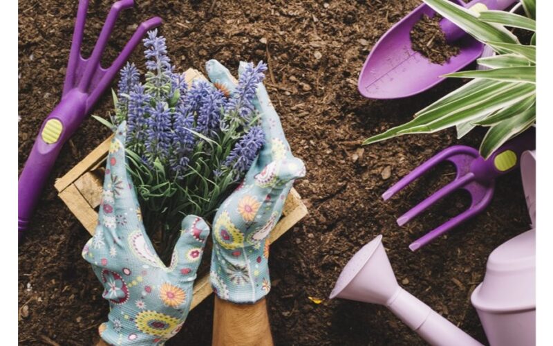 krikštamotė sodininkė vardai dešimt