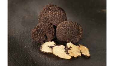 gourmet truffles auginami patalpose