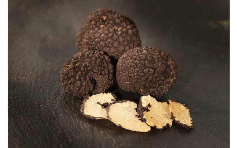 gourmet truffles auginami patalpose