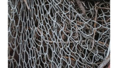 močiutė Ura šiltnamio triukas