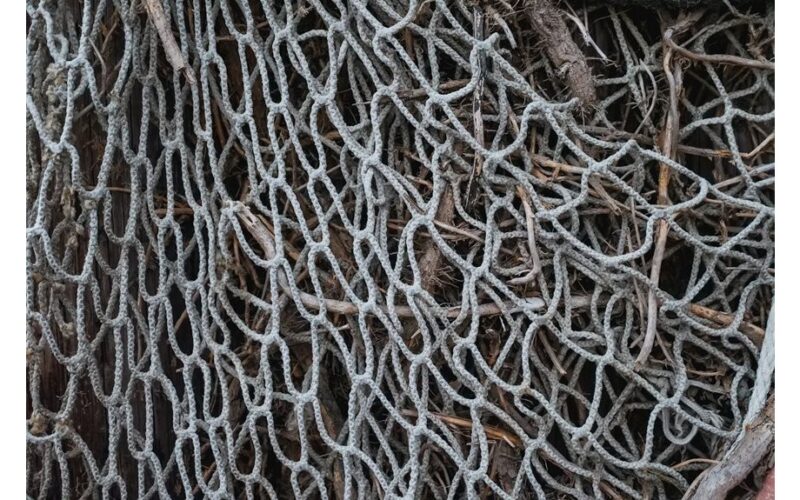 močiutė Ura šiltnamio triukas