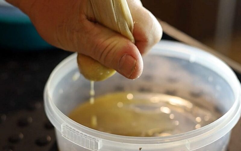 močiutė atnešė stebuklingų sėklų vandenį