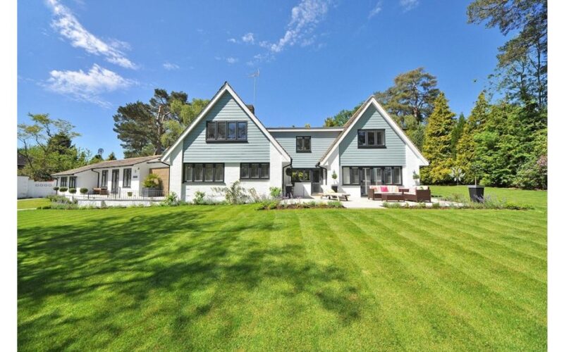 žolės ilgis įtakoja spalvą