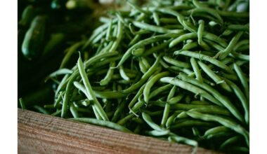 žaliosios pupelės mažoji širdelė