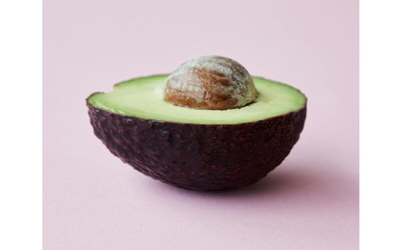 auga avokadas iš kauliuko 20 dienų