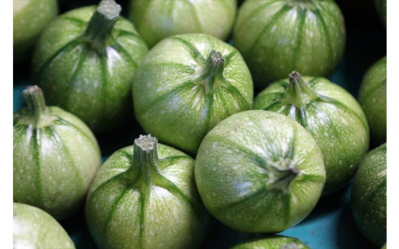 auginkite cukinijas šiuo būdu