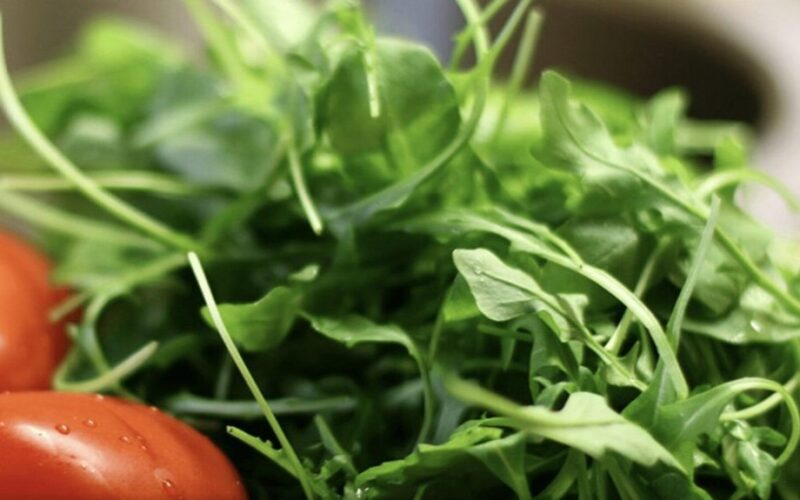 užauginta rukola ant palangės