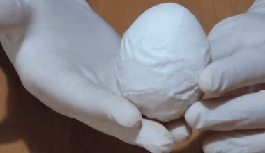 višta sulaužė minkštą lukštelį (kiaušiniai)