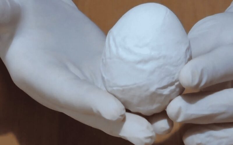 višta sulaužė minkštą lukštelį (kiaušiniai)